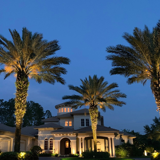 white home with palm trees and outdoor lighting