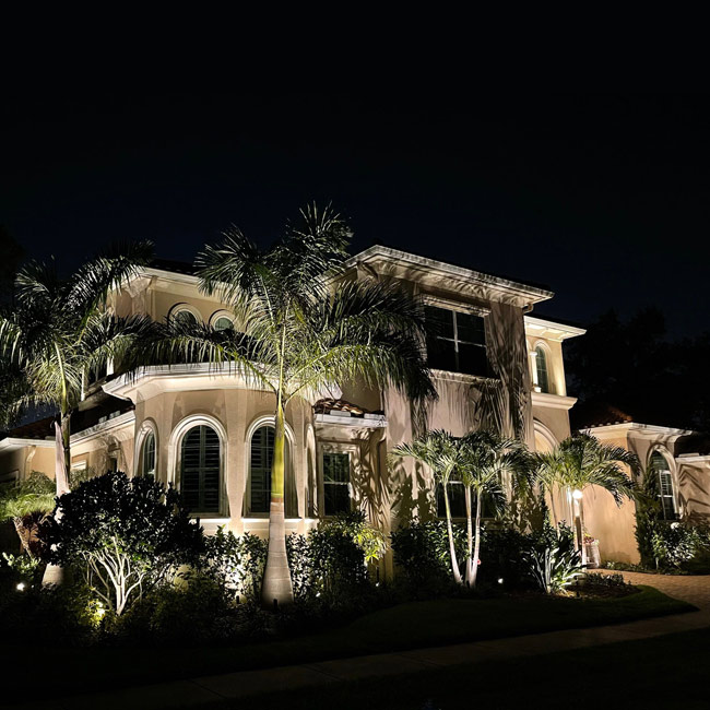 brick home with exterior landscaping and palm trees at night