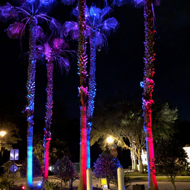 Landscaping Lights For Trees