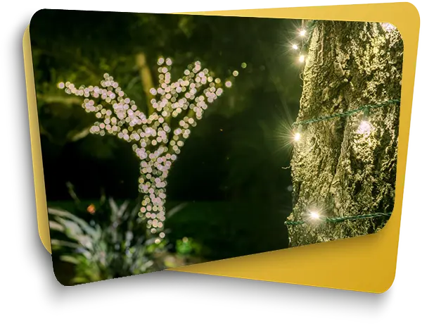 Holiday Lighting Company - Tampa FL - Elegant Accents Outdoor Lighting