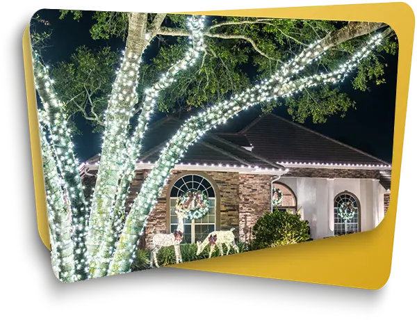 Holiday Lighting Company - Tampa FL - Elegant Accents Outdoor Lighting