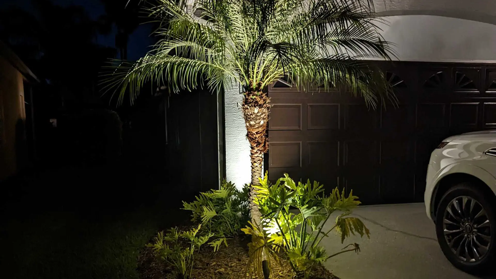 How Much Does Landscape Lighting Cost by Elegant Accents Outdoor Lighting in Tampa Florida