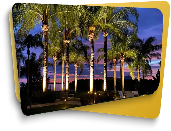 Landscape Lighting Company - Tampa FL - Elegant Accents Outdoor Lighting