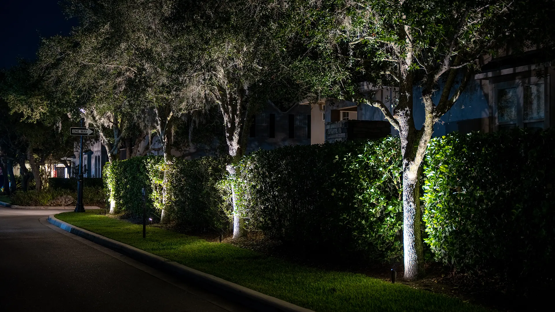 Landscaping Lights For Trees