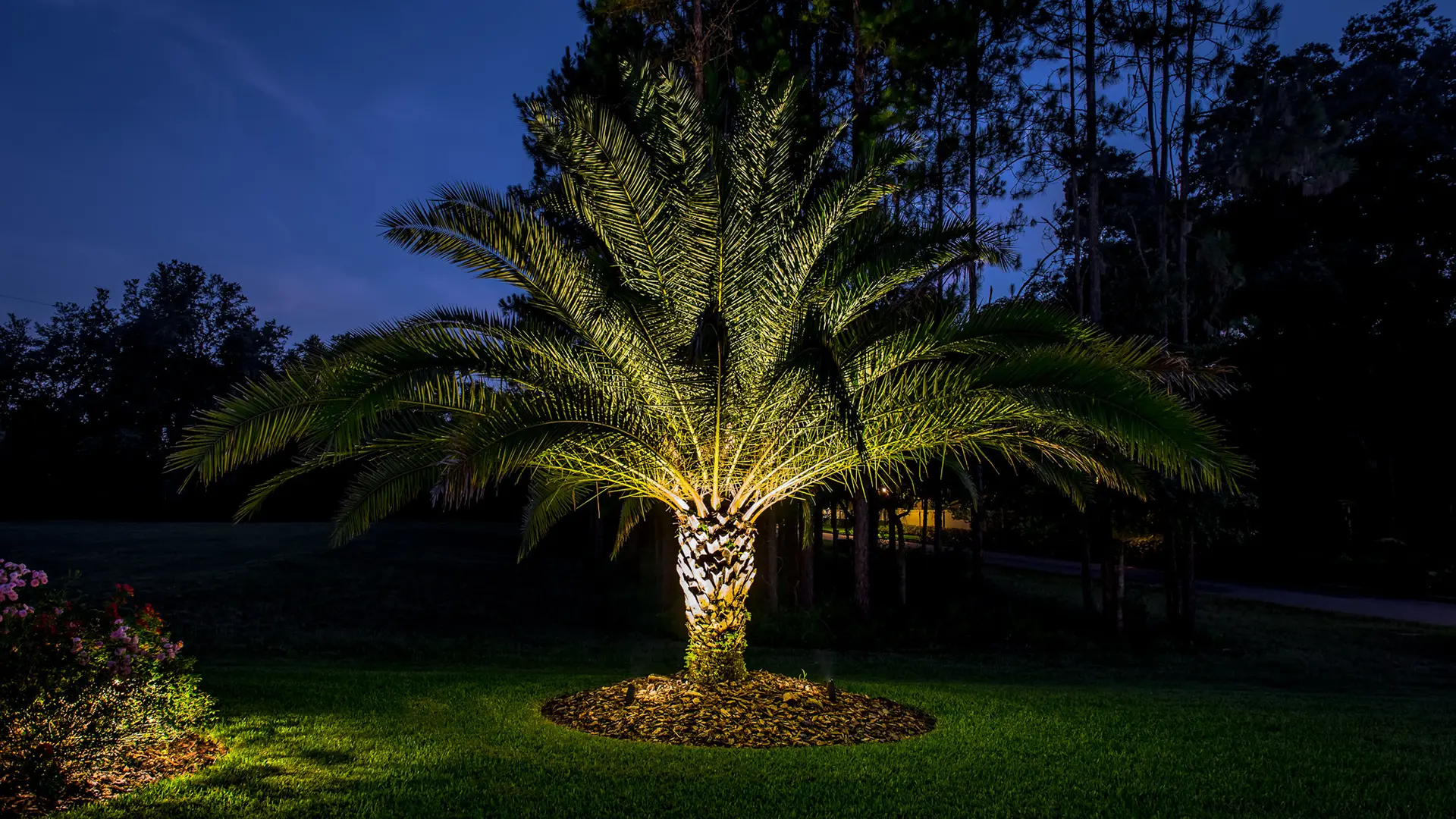 Top 6 Helpful Outdoor Lights Landscape Ideas for Your Home