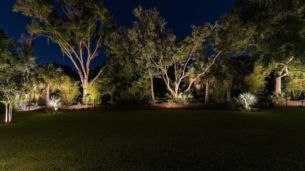 Landscape Tree Lighting