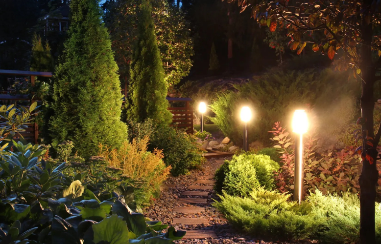 Designing Your Tampa Backyard Oasis: The Complete Guide to Outdoor Lighting for Pools, Patios & Palm Trees