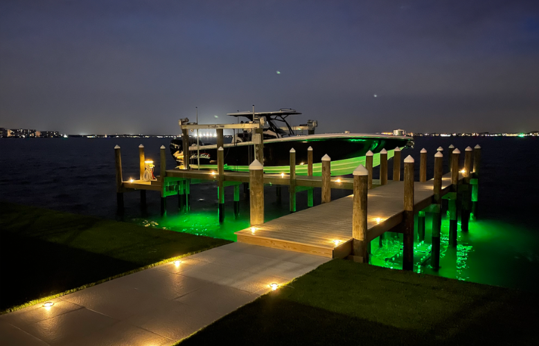 Tampa's Best Outdoor Lighting Designs for Hurricane Season