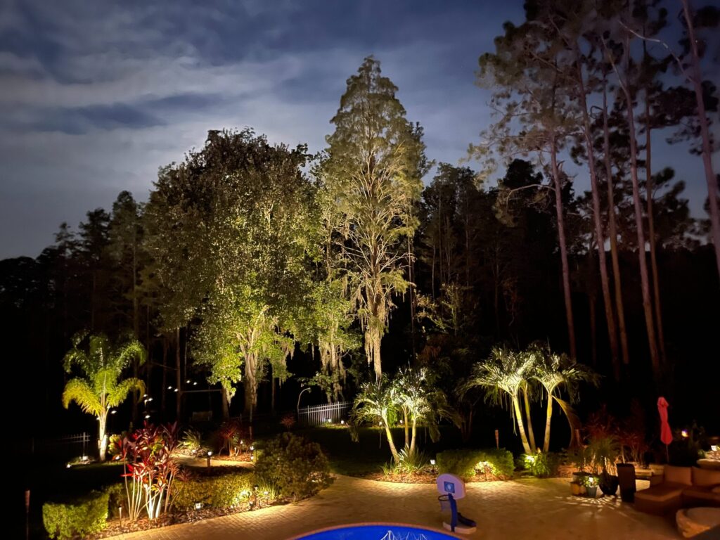 landscape lights