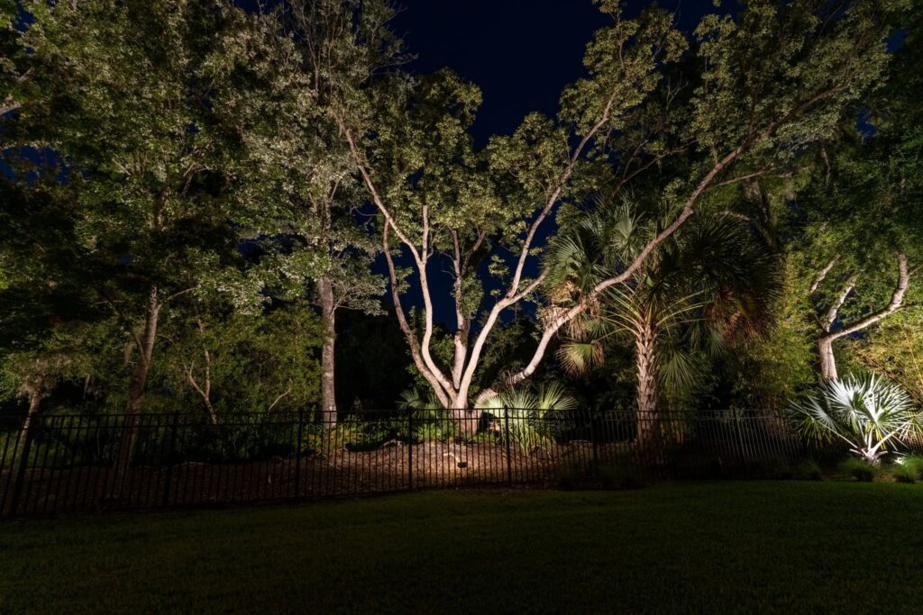 landscape lighting