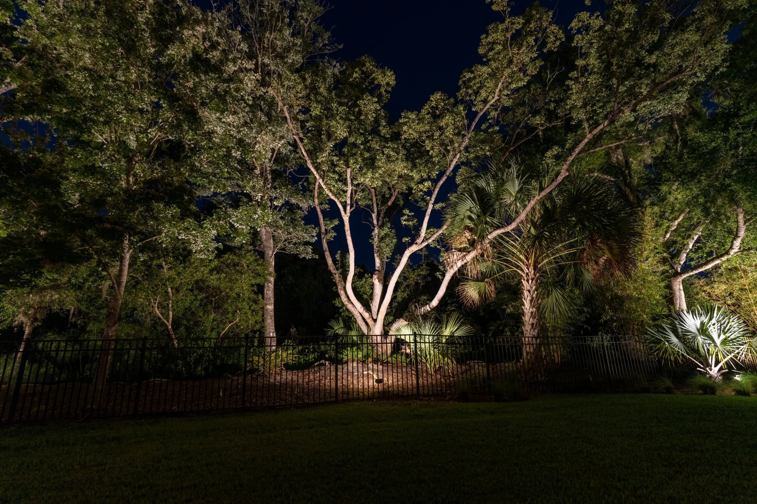 landscape lighting